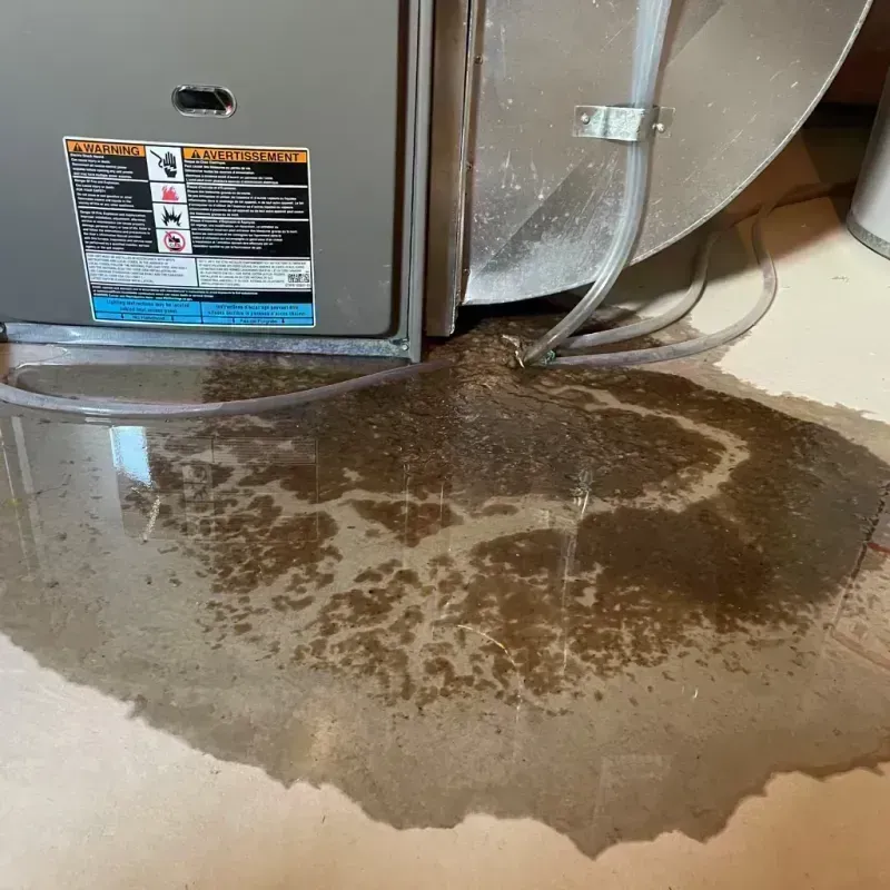 Appliance Leak Cleanup in Warrenville, IL